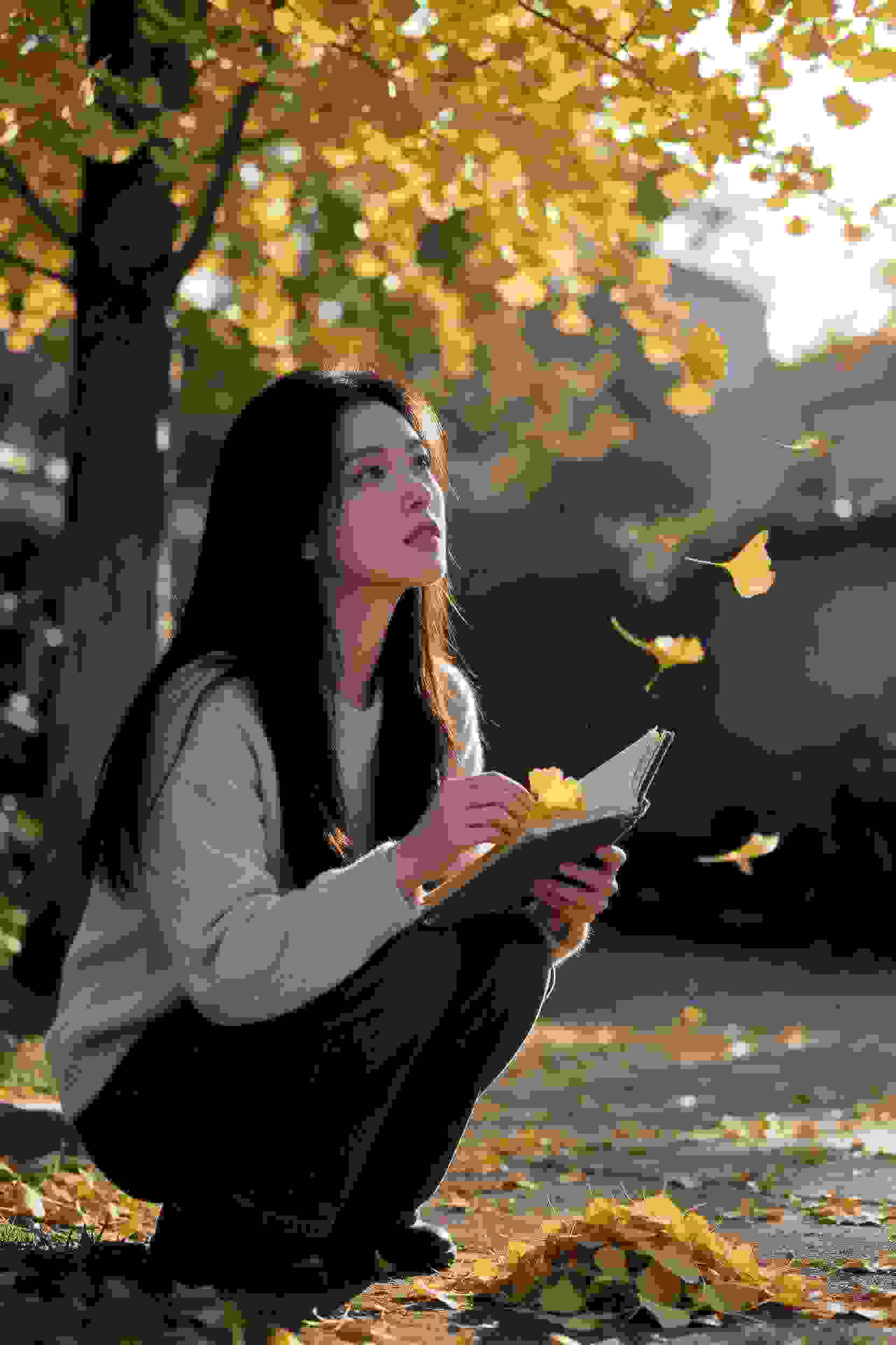 穿越之女主光环