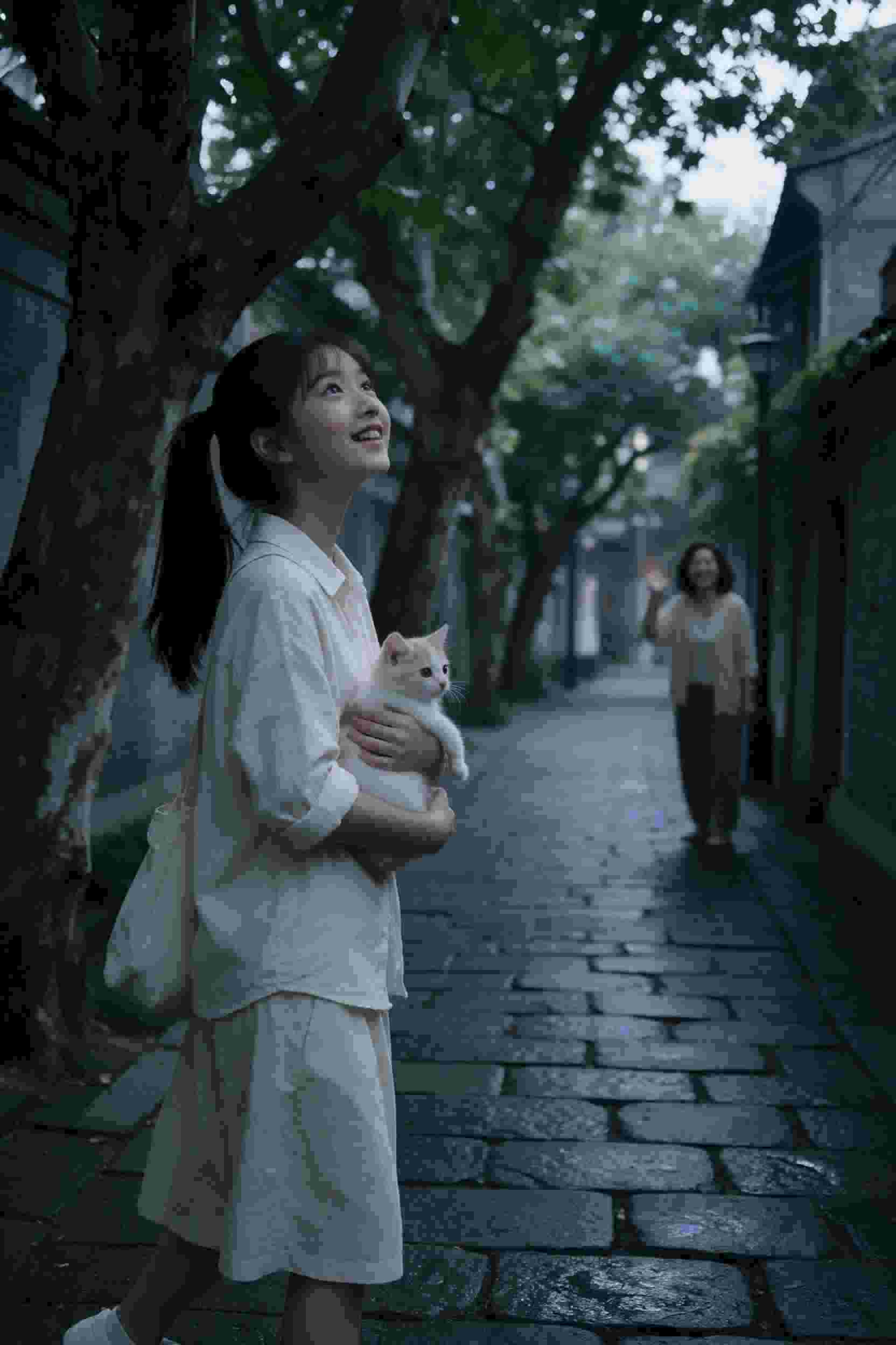 后宫艳福重生